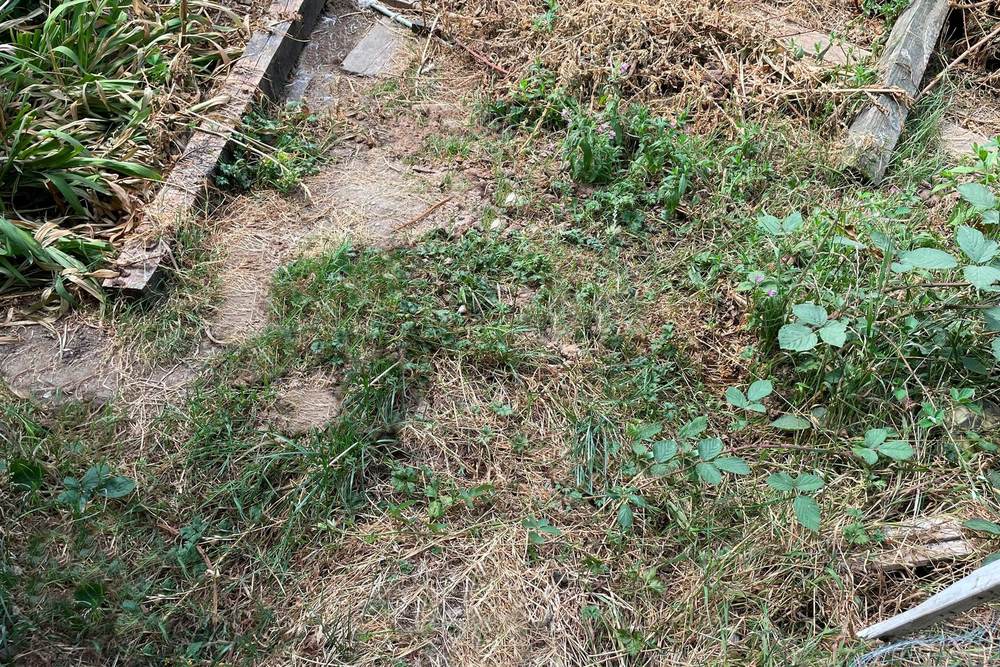 The same Aberdare garden after a Scoop Patrol pet waste clean-up, with all dog waste cleared from the lawn